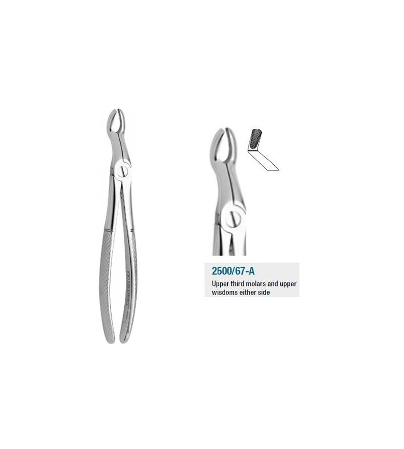 2500/67-A FORCEPS MOLARES...