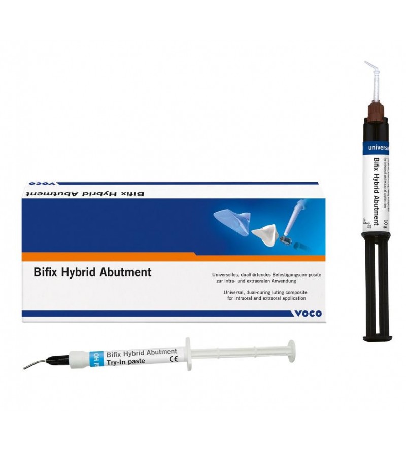 BIFIX HYBRID ABUTMENT -...