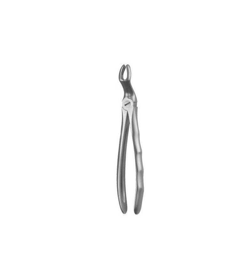 LS67A FORCEPS CORDALES...